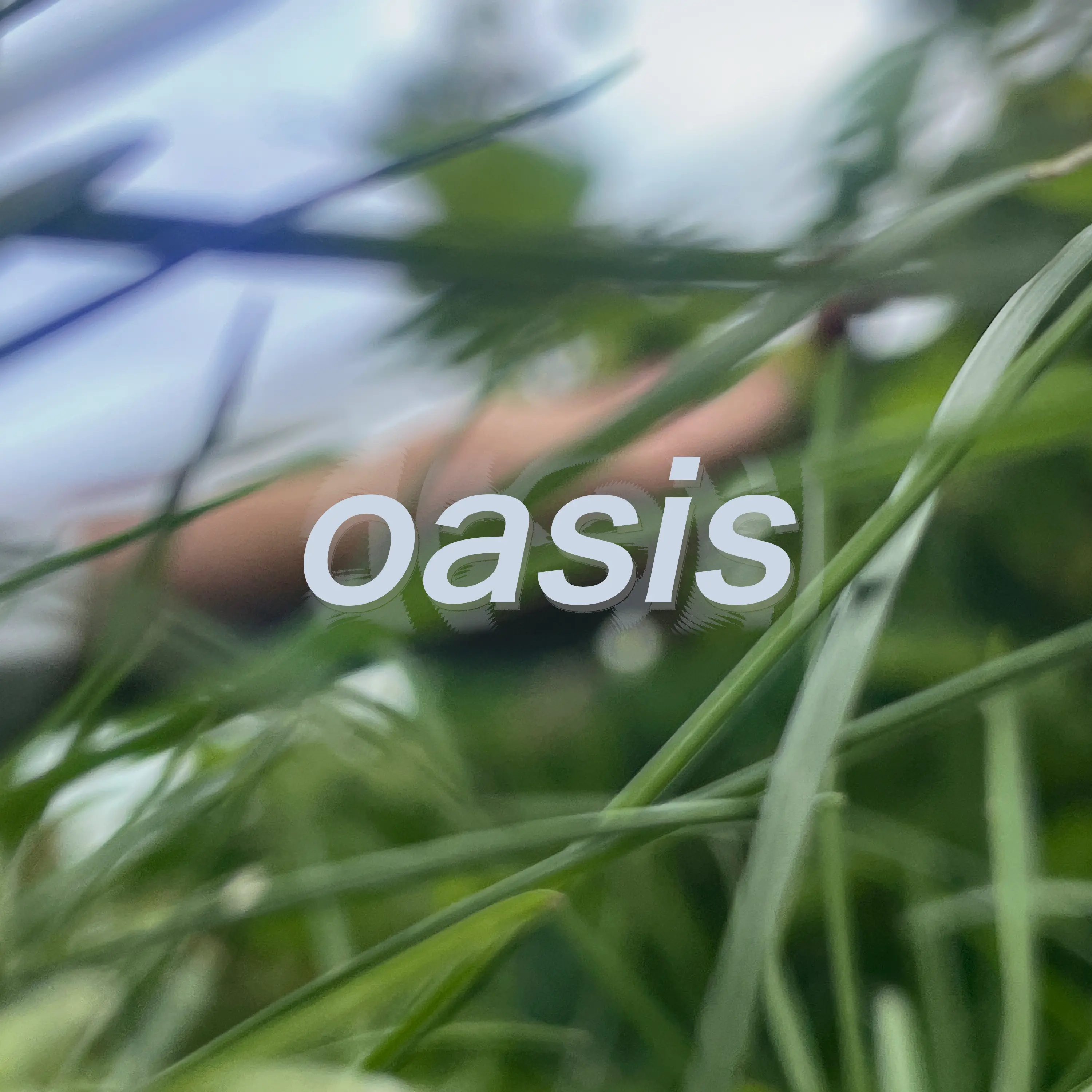 oasis